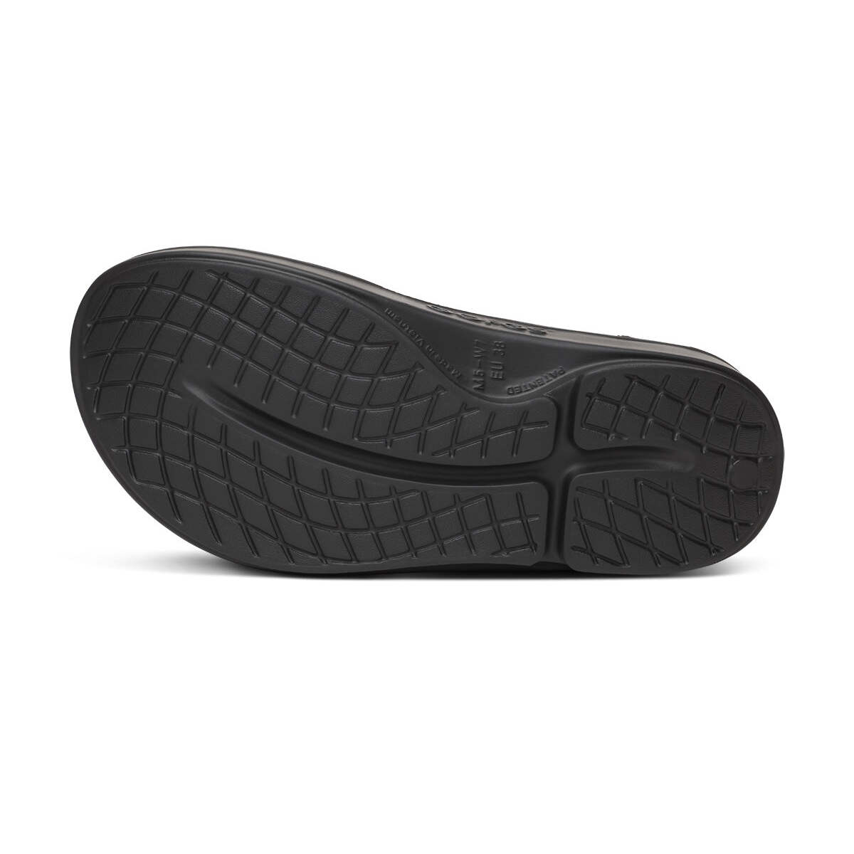 Women's Ooriginal Limited Sandal - Black Athena - Image 6