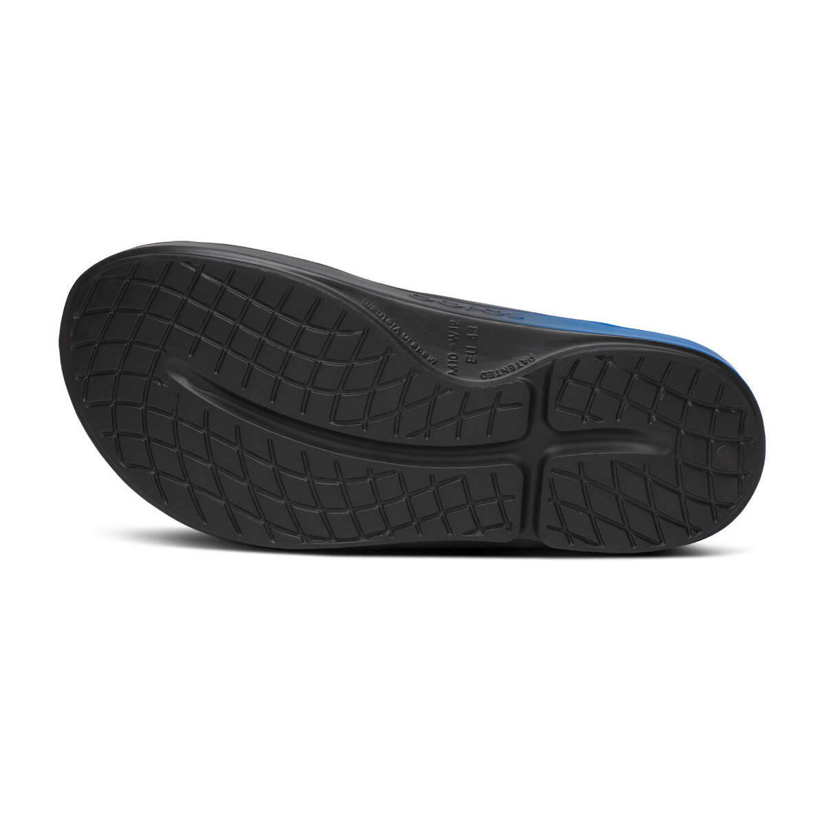Men's Ooriginal Sport Sandal - Limited Edition 2025 Chicago - Image 7